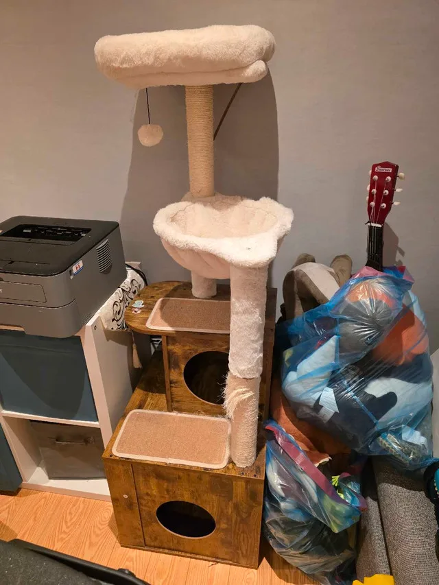 Cat scratch post tower image indicator(3)