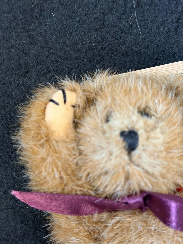 Boyds Bears The Archive Collection Neville Teddy Bear - photo 4