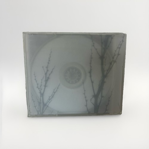 Sigur Ros - 1 Track Radio 2002 Fat Cat CD 088 113 091-2 - photo 2