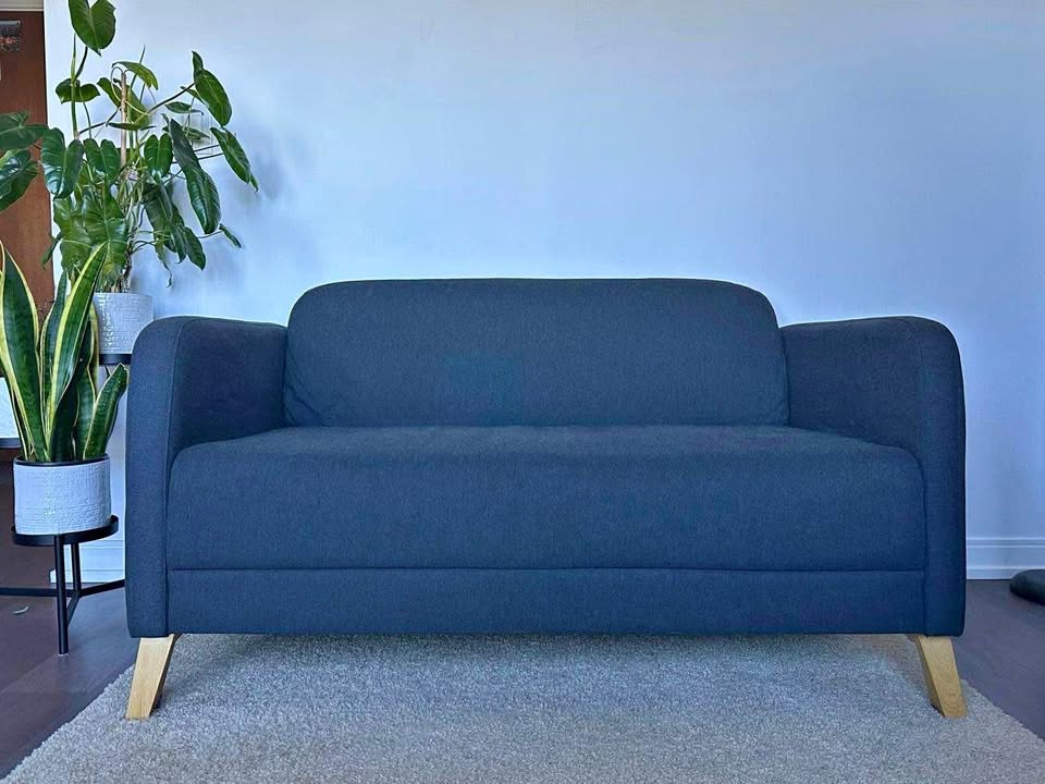 IKEA LINANÄS Loveseat