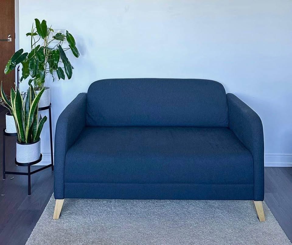 IKEA LINANÄS Loveseat - photo 2