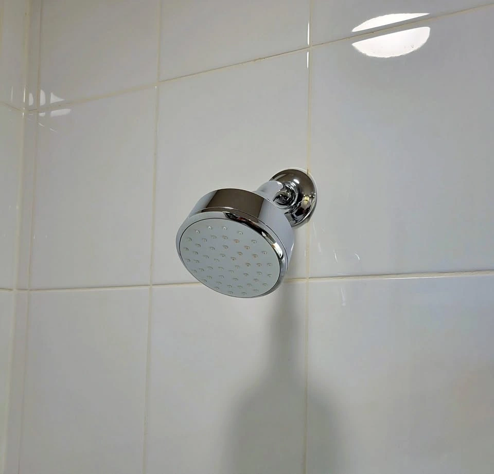 Grohe Tempesta Cosmopolitan Shower Head