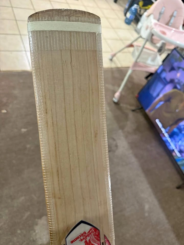 Sg bat