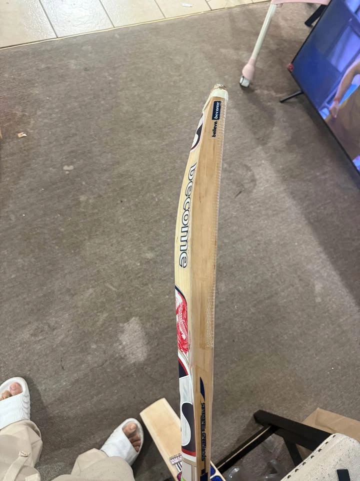 Sg bat - photo 4