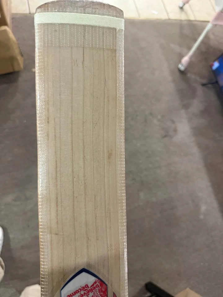 Sg bat - photo 5