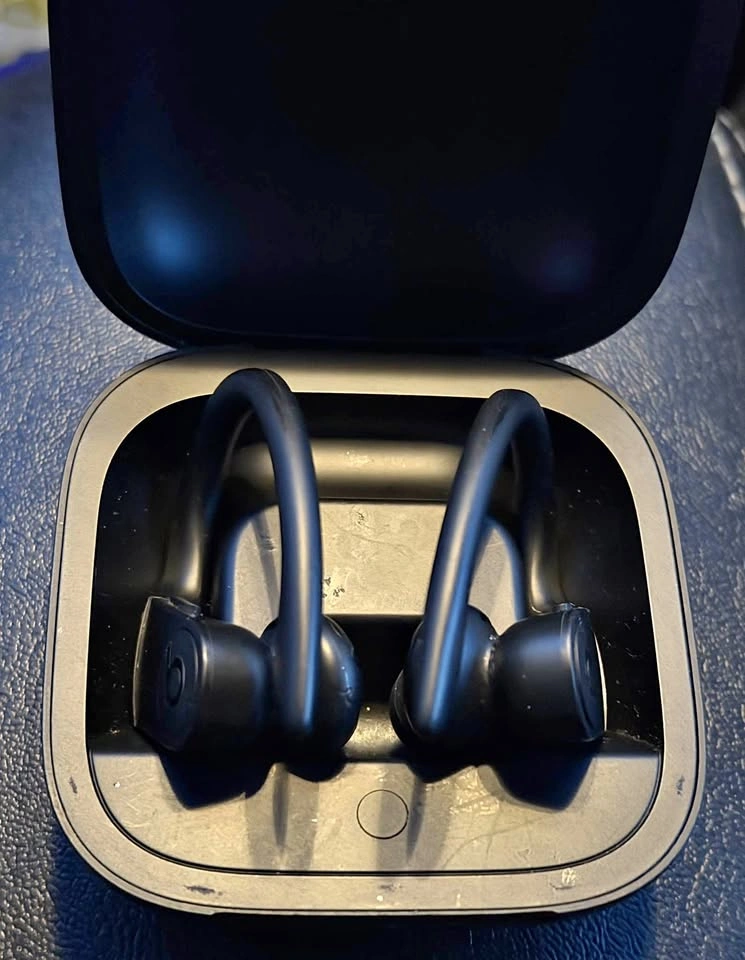 Beats Powerbeats Pro Wireless Earbuds