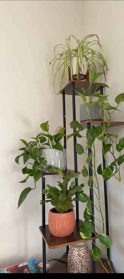 Brand New Sealed Multi-Tier Wood and Metal Plant Stand - photo 2
