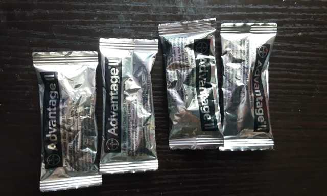 Advantage® II Flea Prevention for Large Cats Over 4 kg, 4 packs - photo 3