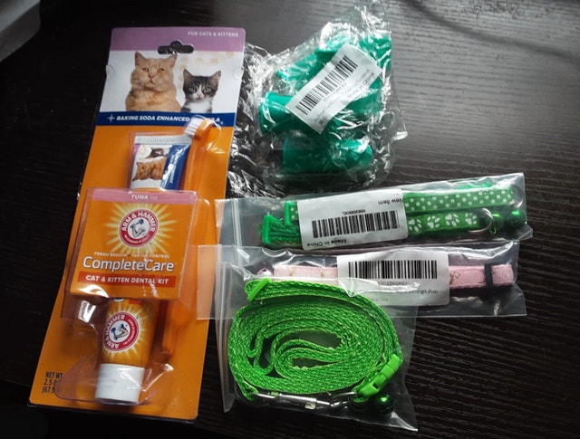 New Cat Accessories and Dental Care Items
