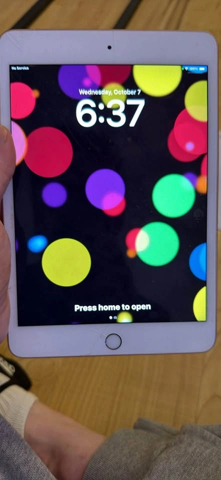 iPad mini gold 5th Gen 64GB Wi-Fi + Cellular — $190 OBO