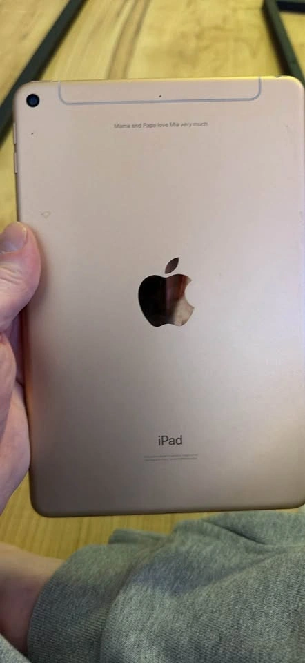 iPad mini gold 5th Gen 64GB Wi-Fi + Cellular — $190 OBO - photo 2