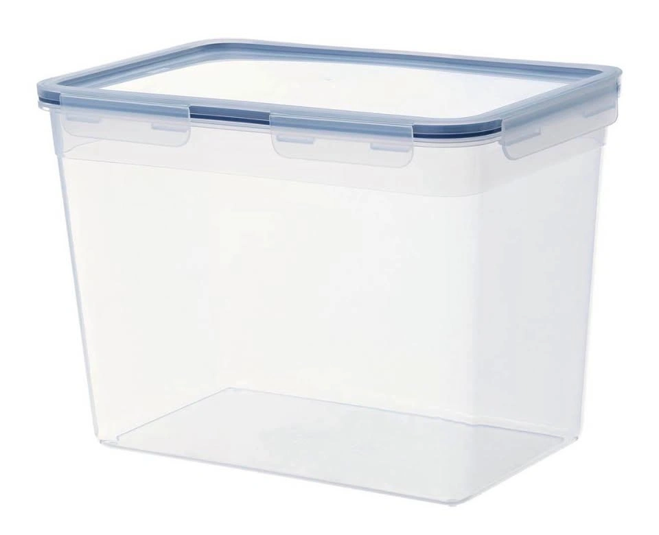 2 Large Food Storage Containers with Lids + Colander