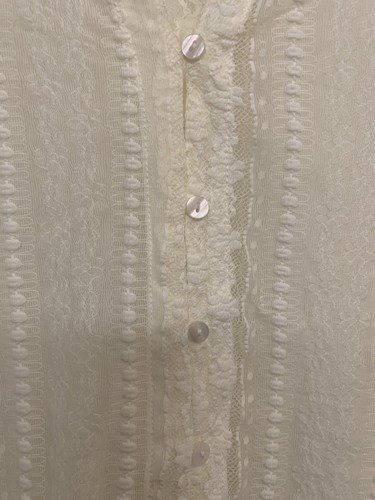 Dex Sheer Lace Button Up Shirt Medium Ivory Boho Beach - photo 4