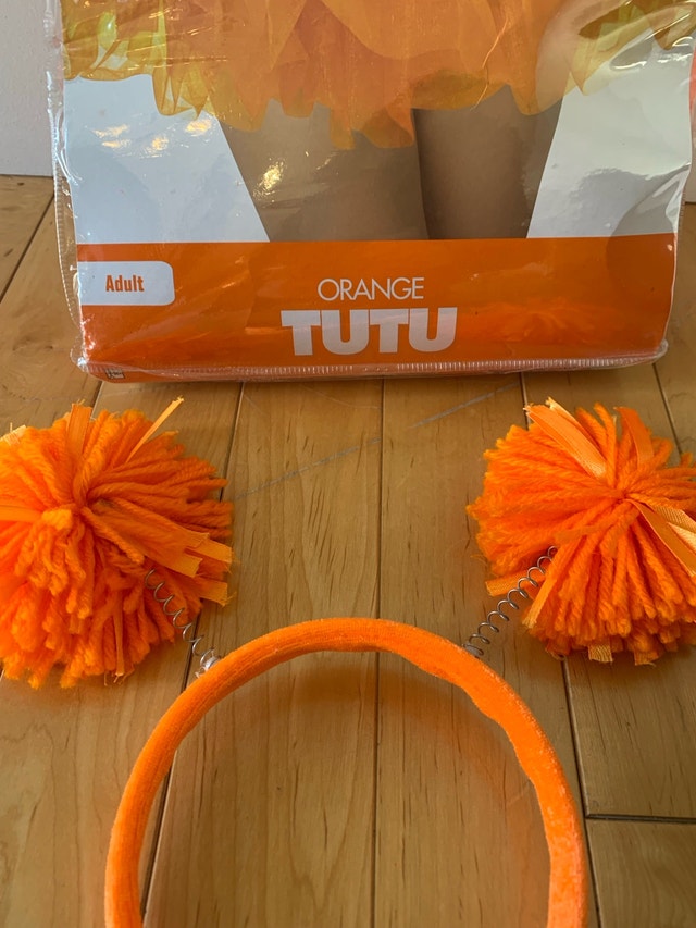 multiple Halloween costumes- $10 each - photo 5