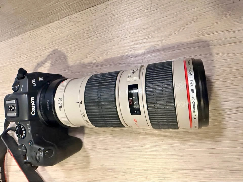 Canon EOS RP Full Frame + 70-200mm F/4L Lens + EF-R Adapter