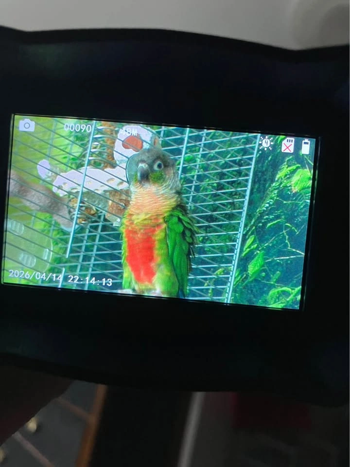 Night Vision Camera - photo 4