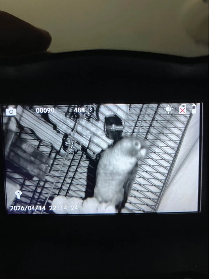 Night Vision Camera - photo 5