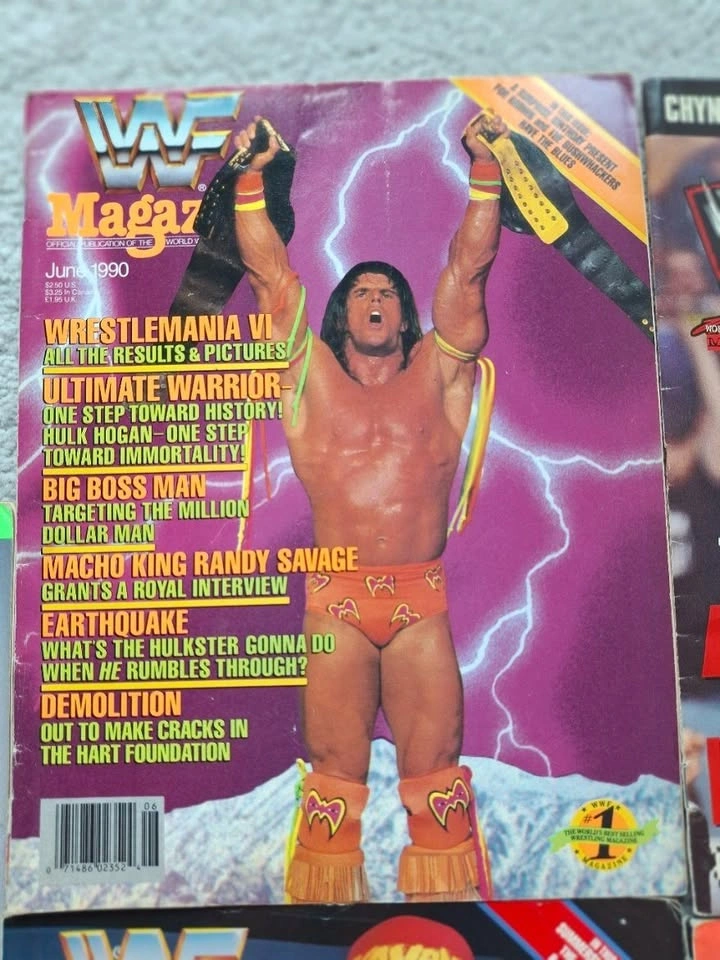7 Vintage WWF Magazines (1990-2001) – Hogan, Hart, Michaels, RVD - photo 4
