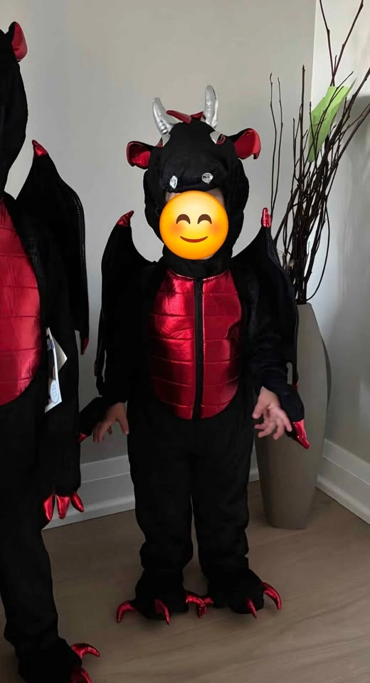 3T Halloween costume (dragon)