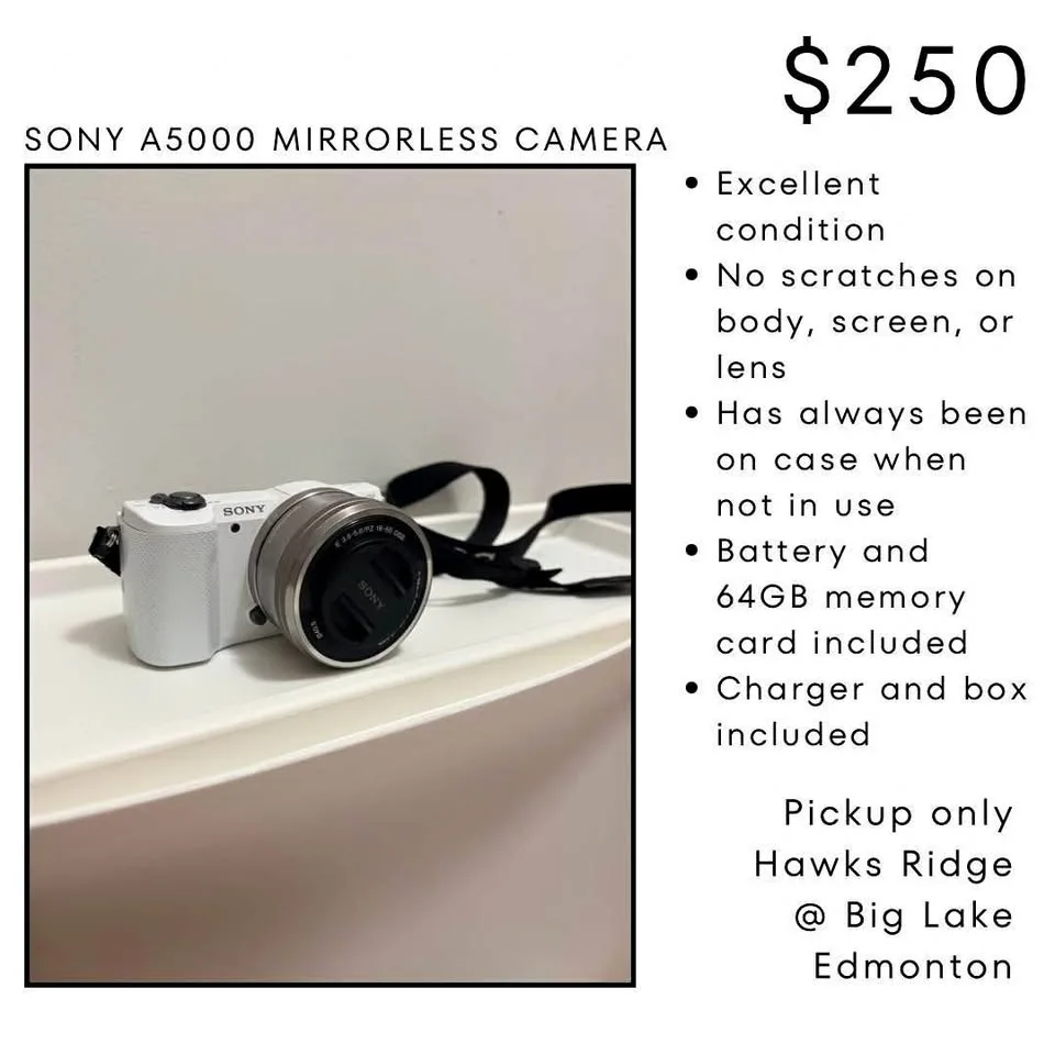 Sony a5000 Mirrorless Camera