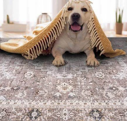 Area Rug for Living Room 5x7 Machine Washable Vintage Rug - photo 3