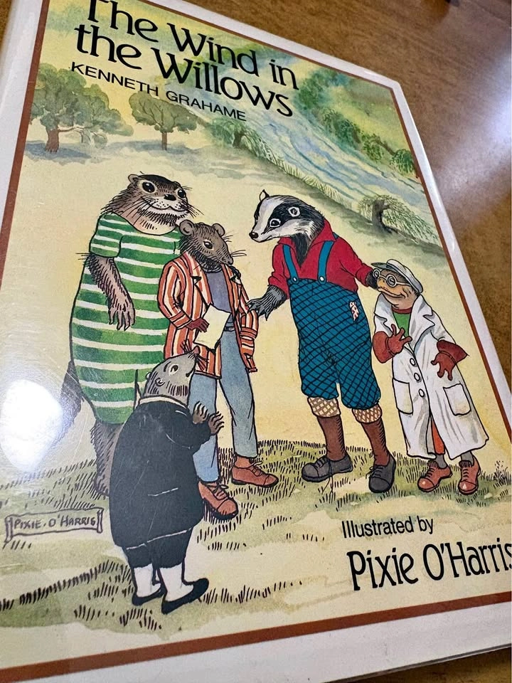 The wind in the willows (hardcover)