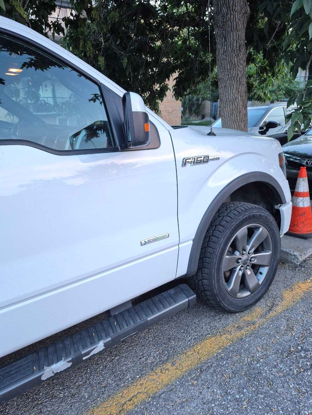 2014 Ford F150 Fx4 EcoBoost Truck - photo 3