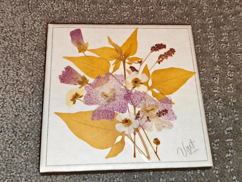 VGET Originals Pressed Flower Wall Art – Canadian Wildflowers