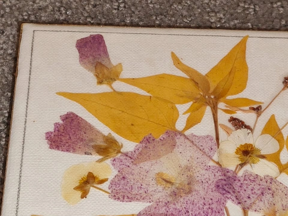 VGET Originals Pressed Flower Wall Art – Canadian Wildflowers - photo 2