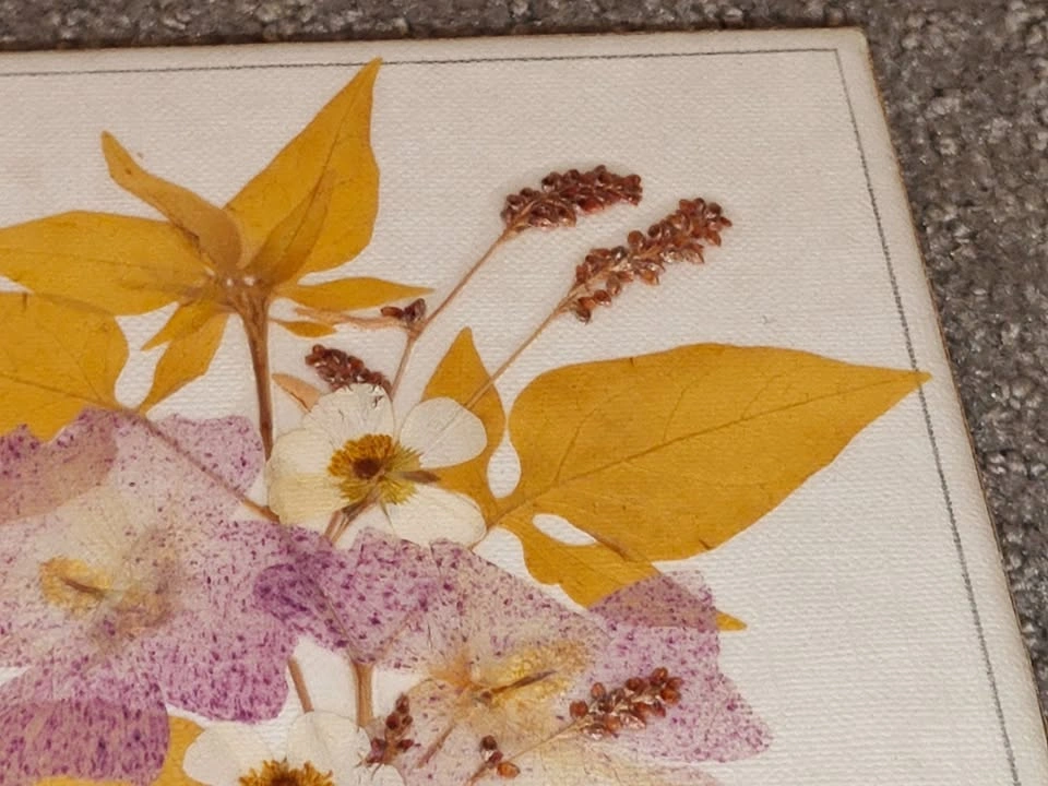 VGET Originals Pressed Flower Wall Art – Canadian Wildflowers - photo 3