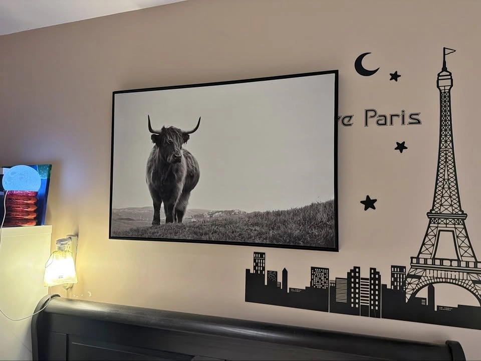 Framed Highland Cow Canvas Print – Black & White