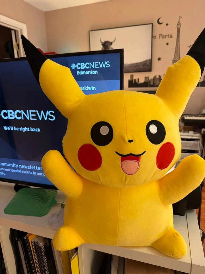 Pikachu Plush Toys – Set of 3 (1 Large + 2 Small) - photo 2