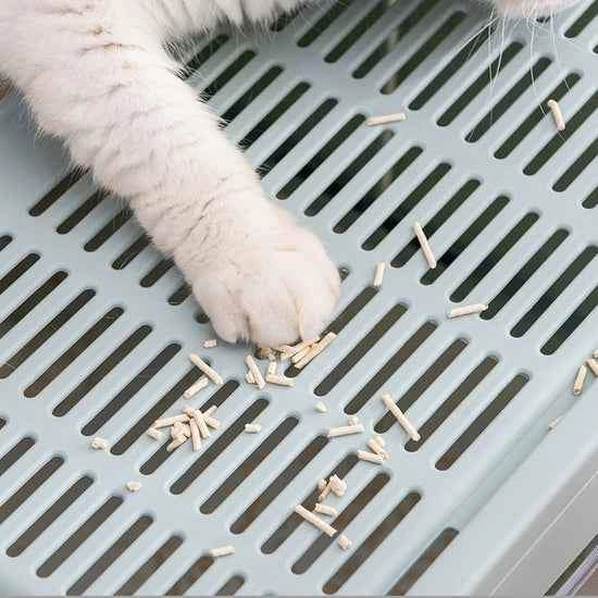 Like New Cat Litter Box with Front Entry Top Exit - photo 4