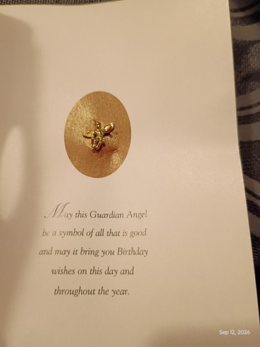 Vintage Cathedral Classics Guardian Angel Birthday Card Lapel Pi - photo 3