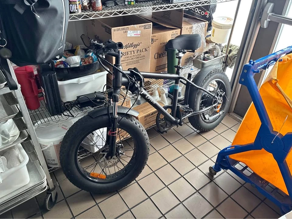 Electric Avenue Coyote Fat Tire E-Bike