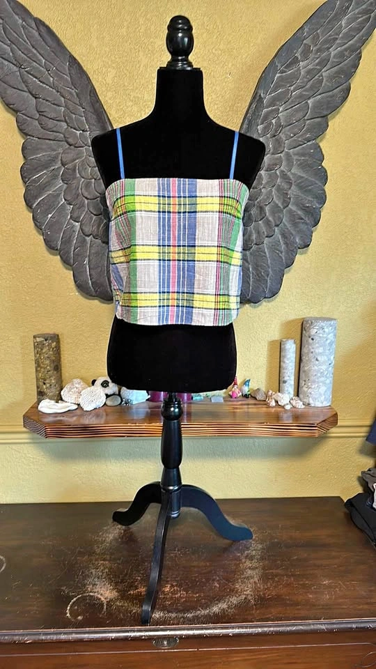 Urban Outfitters Plaid Crop Top with Blue Straps