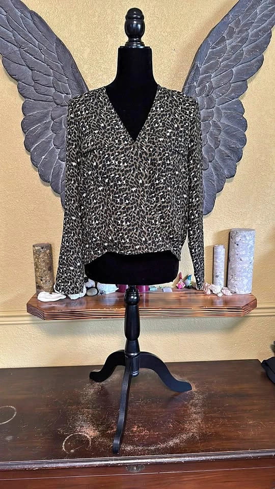 Abound Leopard Print V-Neck Blouse