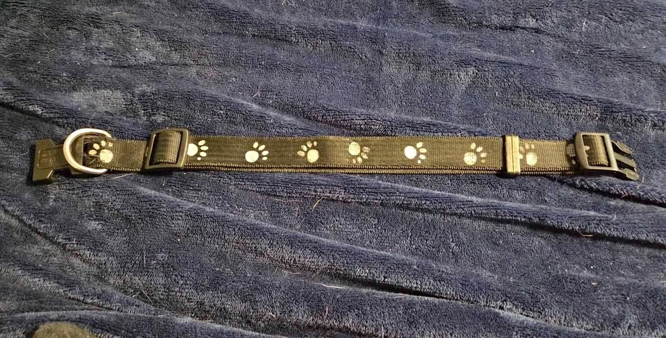 Paw dog collar