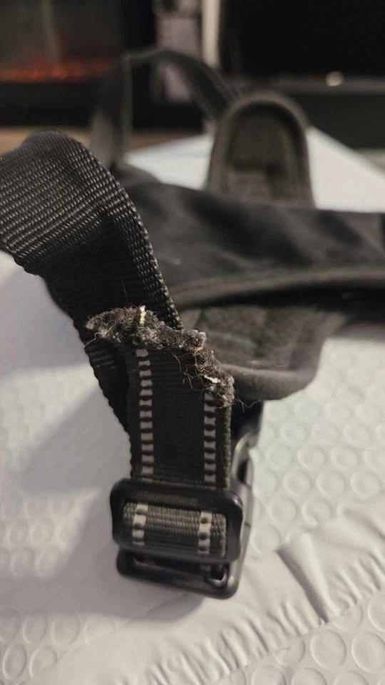 Eagles dog harness - photo 3