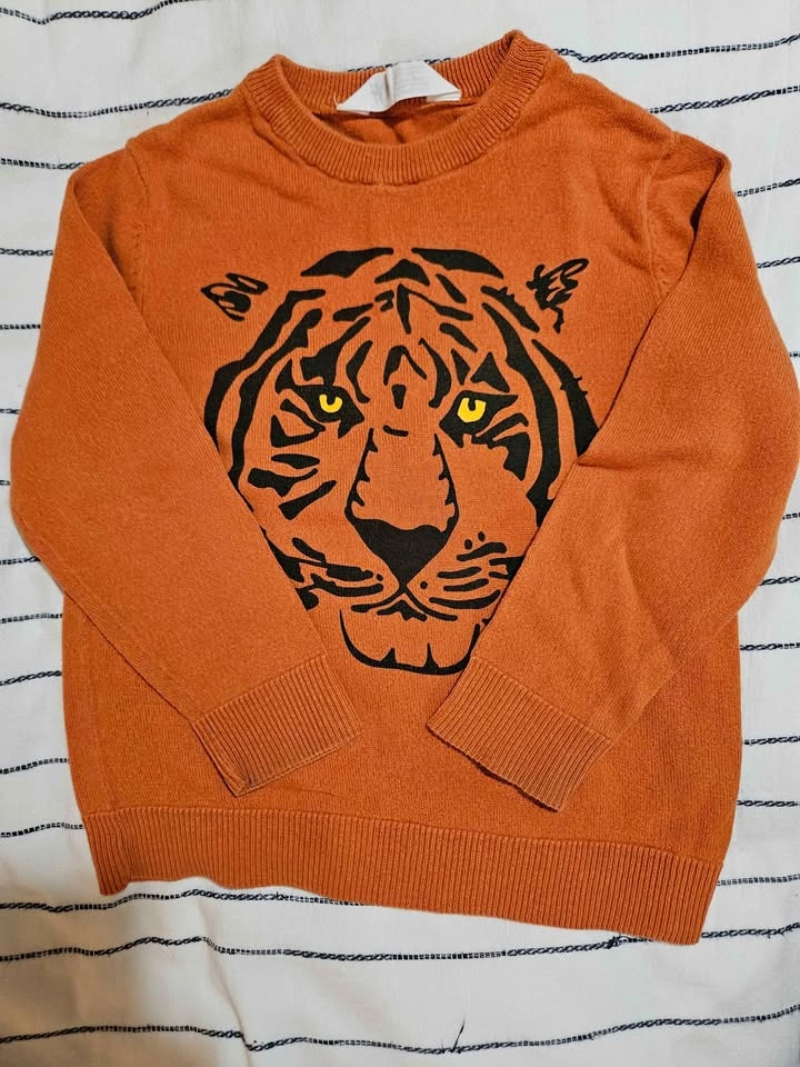 4T Boys Sweater Lot - photo 5