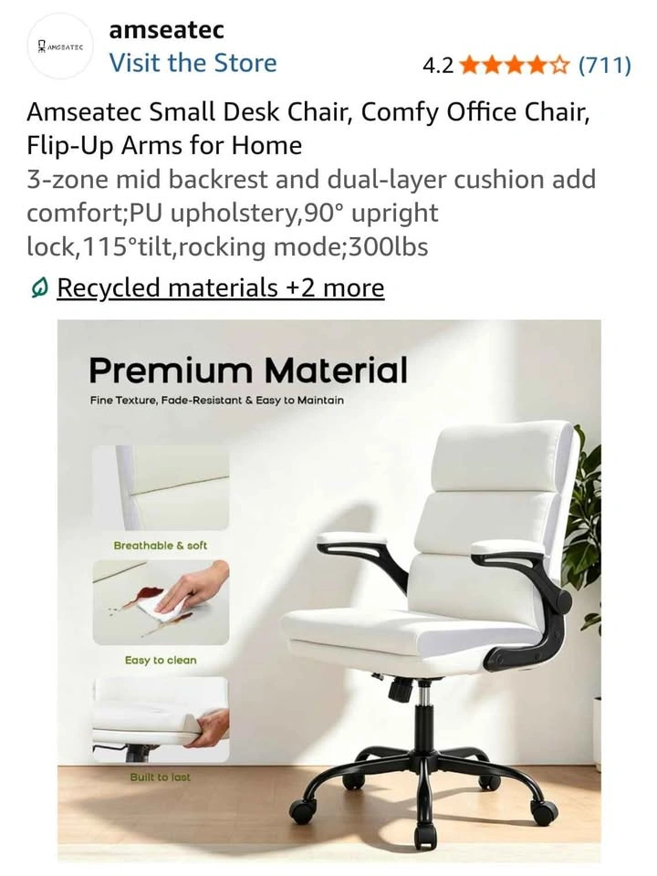 Amseatec Small Desk Chair - photo 5