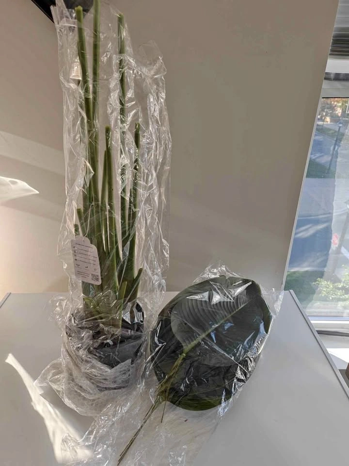 Keeplush Bird of Paradise Artificial Plant - photo 2
