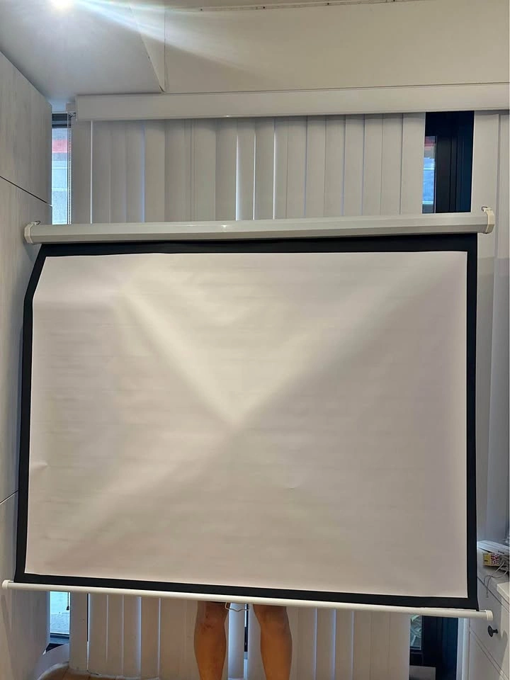 Retractable projector screen