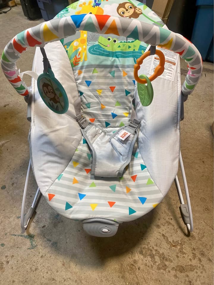 Bright Starts Baby Bouncer