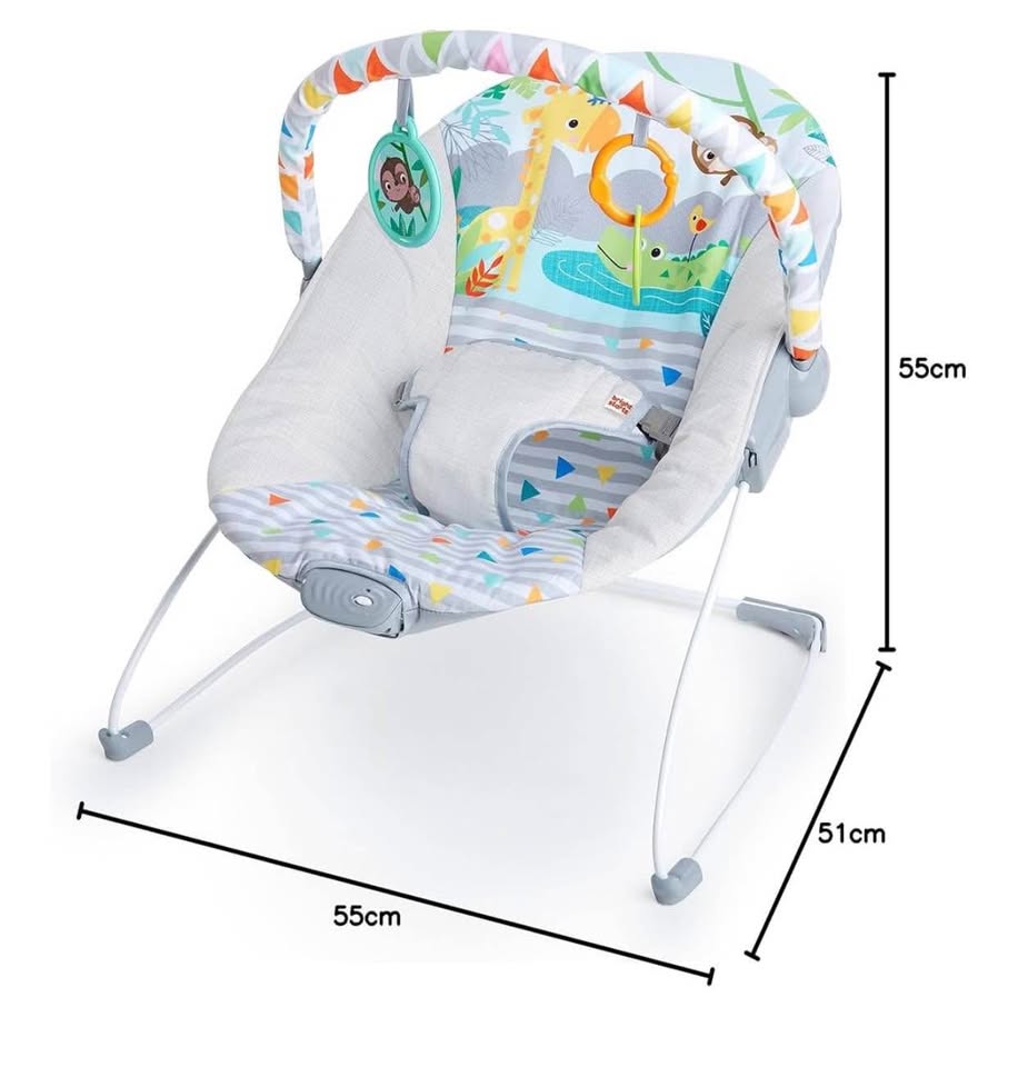 Bright Starts Baby Bouncer - photo 2