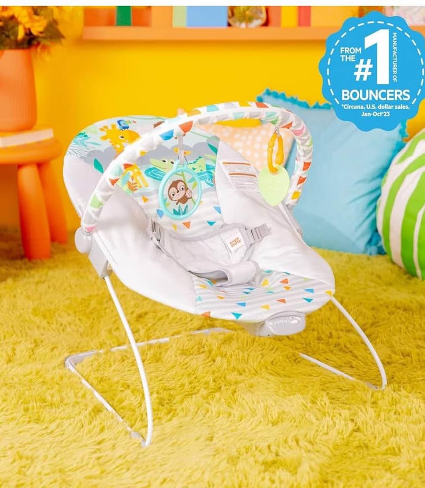Bright Starts Baby Bouncer - photo 3