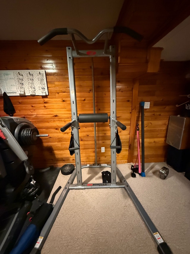 Bowflex BodyTower
