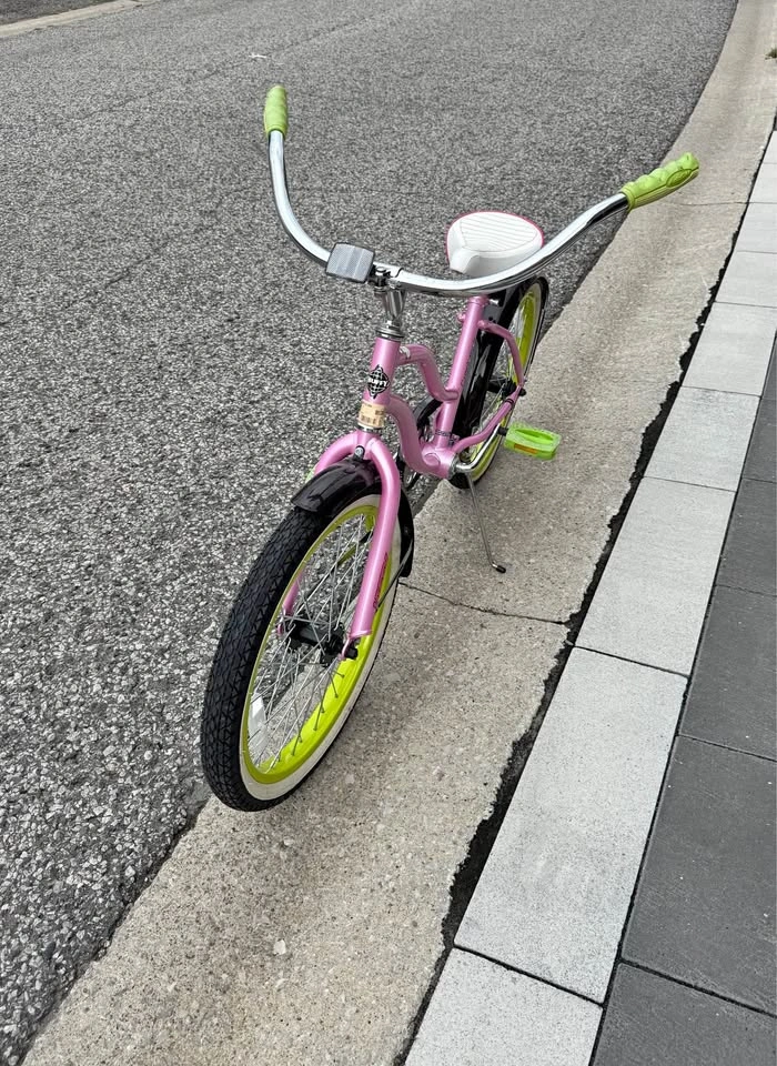 Huffy Cranbrook 20” Cruiser Bike – Pink & Green