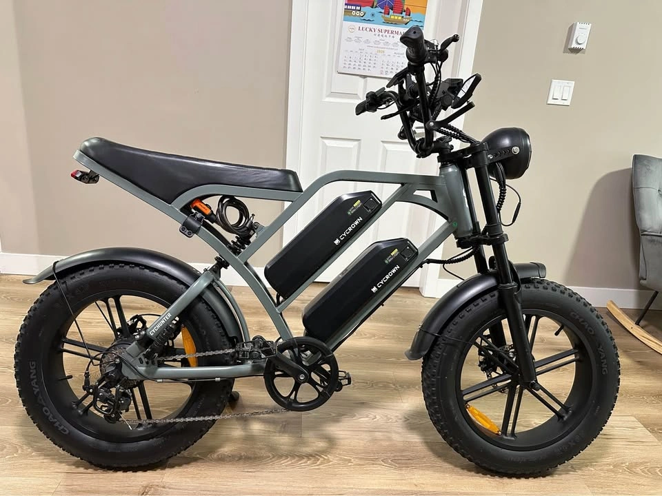 2025 Cycrown cychunter - photo 2