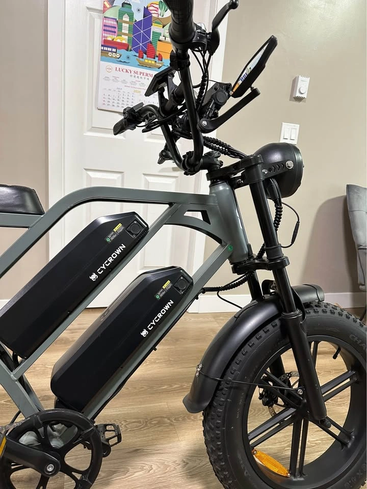 2025 Cycrown cychunter - photo 4